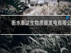 衡水泰达生物质能发电有限公司是国企吗