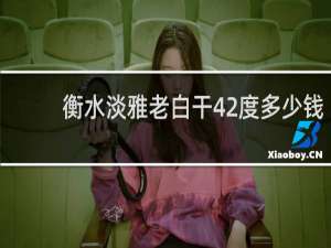 衡水淡雅老白干42度多少钱