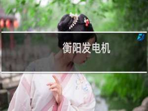 衡阳发电机