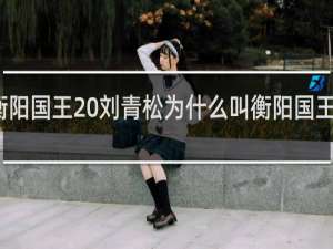 衡阳国王 刘青松为什么叫衡阳国王什么梗