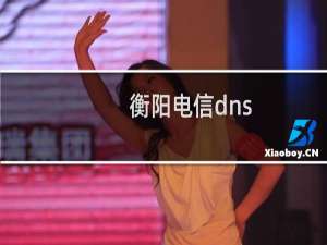 衡阳电信dns