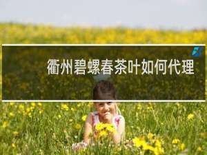 衢州碧螺春茶叶如何代理