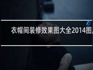 衣帽间装修效果图大全2014图片