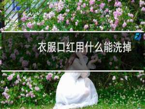 衣服口红用什么能洗掉
