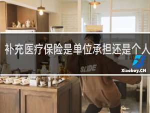 补充医疗保险是单位承担还是个人承担