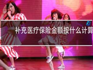 补充医疗保险金额按什么计算