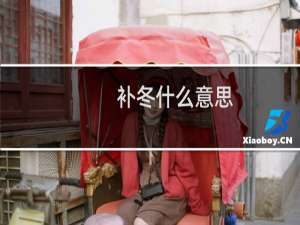 补冬什么意思（补冬是什么意思）