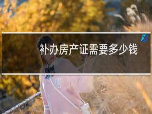 补办房产证需要多少钱