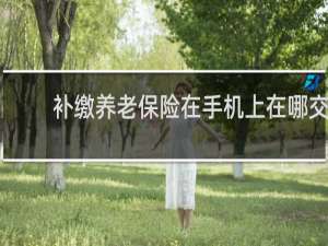 补缴养老保险在手机上在哪交