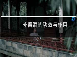 补肾酒的功效与作用