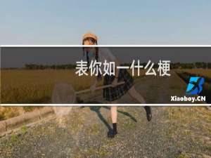 表你如一什么梗