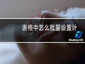 表格中怎么批量设置计算公式