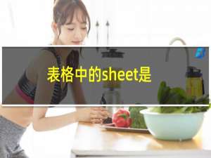 表格中的sheet是什么意思（excel表格中sheet代表什么意思）