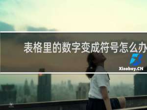 表格里的数字变成符号怎么办