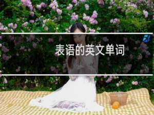 表语的英文单词