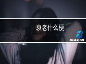 衰老什么梗