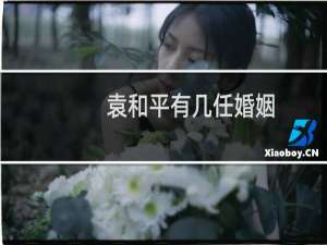 袁和平有几任婚姻