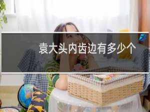 袁大头内齿边有多少个
