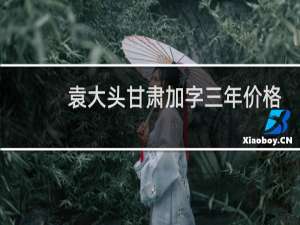 袁大头甘肃加字三年价格