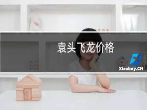 袁头飞龙价格
