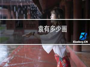 袁有多少画