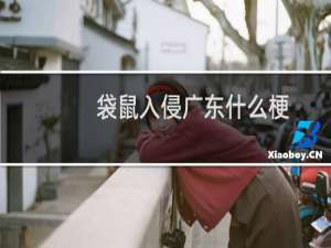 袋鼠入侵广东什么梗