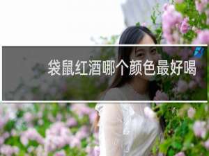 袋鼠红酒哪个颜色最好喝