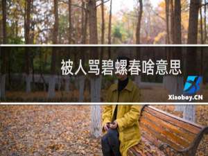 被人骂碧螺春啥意思