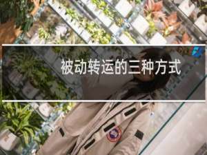 被动转运的三种方式