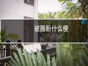 被圈粉什么梗