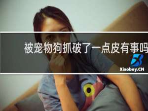 被宠物狗抓破了一点皮有事吗