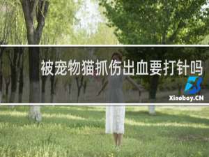 被宠物猫抓伤出血要打针吗