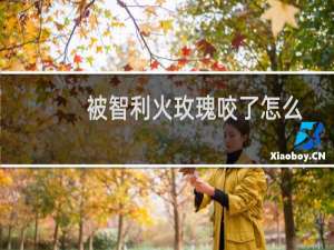 被智利火玫瑰咬了怎么办（智利火玫瑰会不会咬人）