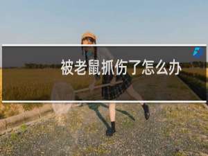 被老鼠抓伤了怎么办（被老鼠抓伤了怎么办）