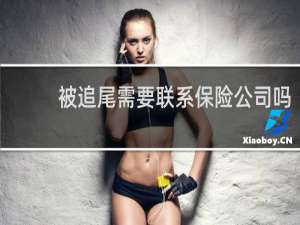 被追尾需要联系保险公司吗