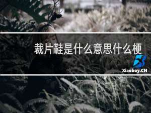 裁片鞋是什么意思什么梗