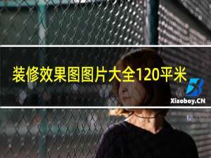 装修效果图图片大全120平米