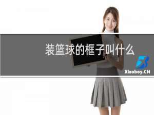 装篮球的框子叫什么