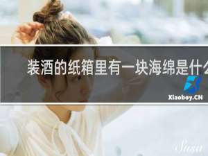 装酒的纸箱里有一块海绵是什么