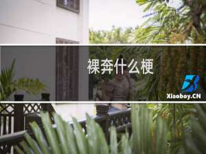 裸奔什么梗