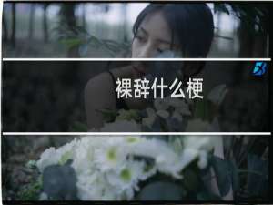 裸辞什么梗