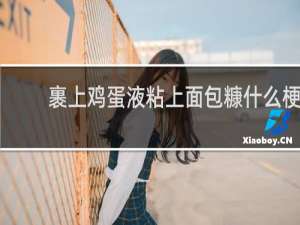 裹上鸡蛋液粘上面包糠什么梗