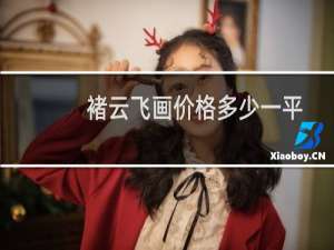褚云飞画价格多少一平