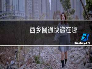 西乡圆通快递在哪