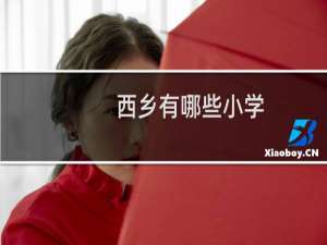西乡有哪些小学