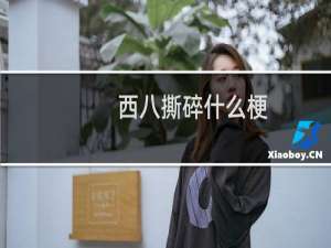 西八撕碎什么梗