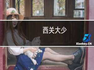 西关大少