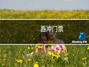 西冲门票
