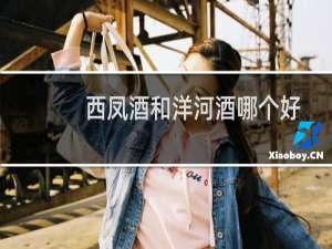 西凤酒和洋河酒哪个好