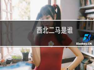 西北二马是谁